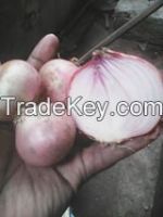 https://cn.tradekey.com/product_view/Dried-Fishes-Onions-Ginger-Garlic-Dried-Vegetables-And-Many-Others--8432523.html