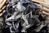 black mushroom Dried Black Fungus mushroom Dried mushroom wood ear