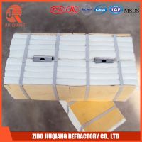 ceramic fiber module
