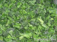 Frozen Broccoli