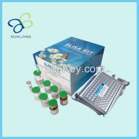  Human Death Associated Protein Kinase 1 (DAPK1)ELISA Kit