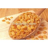 Dried Golden Raisins