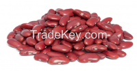 Red Kidney Bean