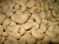   Cashew Nuts Kernels W320 with best price in Vietnam