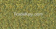 Green Millet