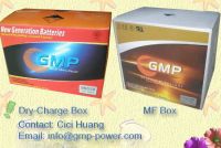 Automobile Battery