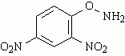 2,4-Dinitrophenylhydroxylamine [17508-17-7]