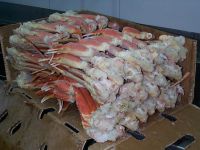 Frozen Snow Crab Clusters / Snow Crab Legs (Chionoecetes opilio)