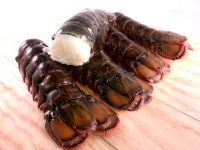 Frozen Lobster Tails | Cooked Frozen Lobster Tails