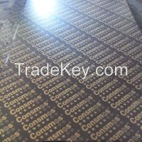 18mm black film faced plywood