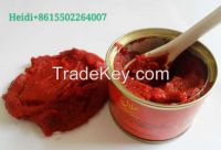 28-30% brix canned tomato paste 70g From China