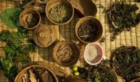 African Powerful Traditional Healer lost love spell sangoma  +27738109621