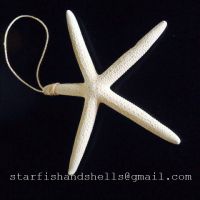 Finger Starfish Ornament Bleached