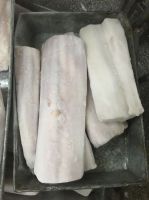 BLUE SHARK FILLET