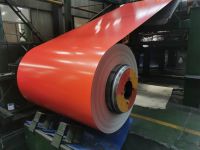 Best Seller PPGI Galvanized Steel in Coil Hot Dip Zinc Coating Roll Steel for  Sale