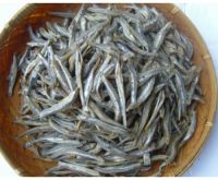 Dried Anchovy