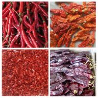 Dry Red Chilli stemless