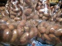 99.9% kola nuts,roots and leafs for sale (60% payments after delivery & free sample send first)