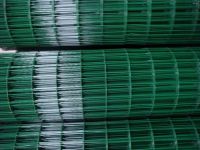 PVC coated Welded wire mesh From China