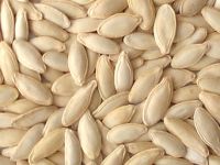 Pumpkin Seeds