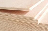 commercial plywood from China supplier 