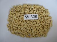 Premium Quality Raw Cashew Nuts 