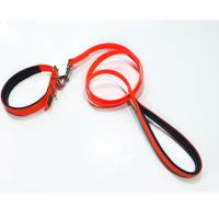 No stink Vinyl PVC coated dog collars with soft padding