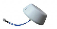 LTE MIMO Antenna