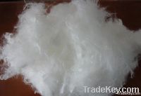 low melt fiber, 4d 51mm low melt fiber, low melting point fiber, low melt bi-component fiber, LMF, PP fiber, PET-PET fiber, 110 degree low melt fiber, 130 degree low melt fiber, 135 degree low melt fiber