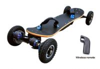 Electric Skateboard 