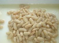 good quality canned white kidney bean in tin