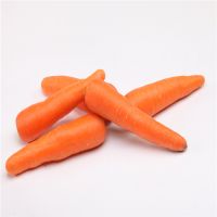 High Quality Hot Sell Carrot