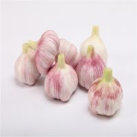 Normal white garlic in small package