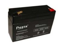 Dry cell Battery 4V 3.0Ah