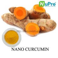 nano curcumin extracts