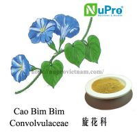 convolvulus extracts