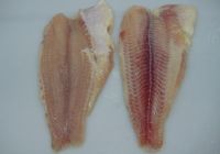 Pangasius