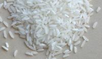 INDIAN LONG GRAIN WHITE RICE  RICE