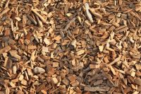 Wood Chips, Firewood, Wood Pellets, Briquettes