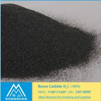 Boron Carbide powder