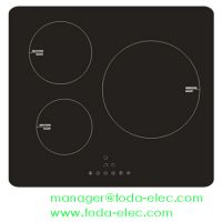 Induction Cooker