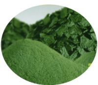 spirulina in (power / tablet)