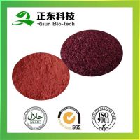 Red Yeast Rice Extract 0.2% total lovastatin