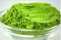 Organic Barley Grass powder