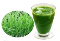 Organic wheat grass juice powder