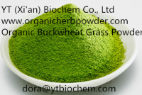 Organic buckwheat grass powder