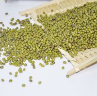 Green mung beans
