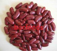 Dark red kidney beans