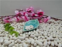 White kidney beans