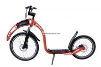 Dog Powered Scooter  From China